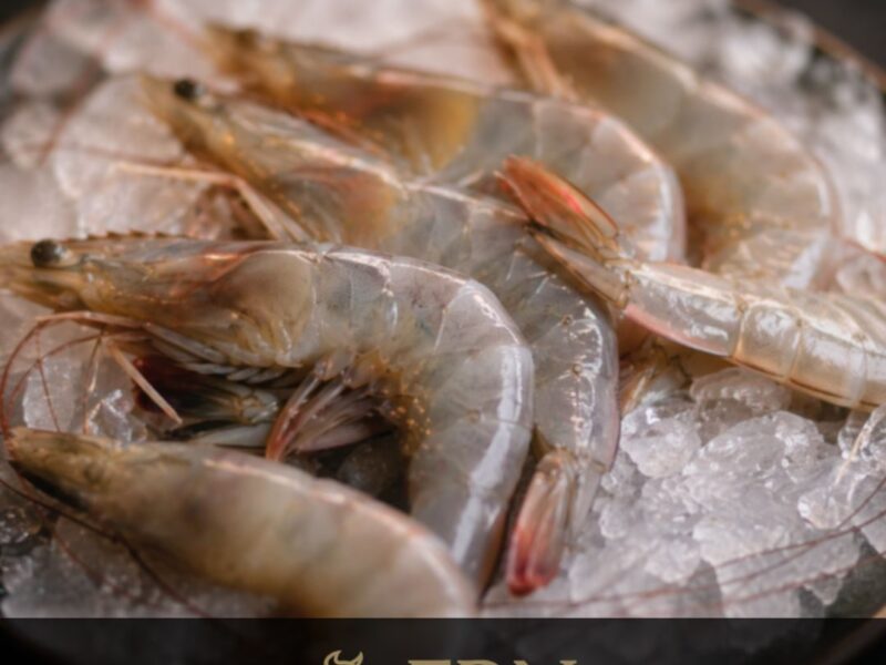 Langostino vannamei entero HOSO sobre hielo