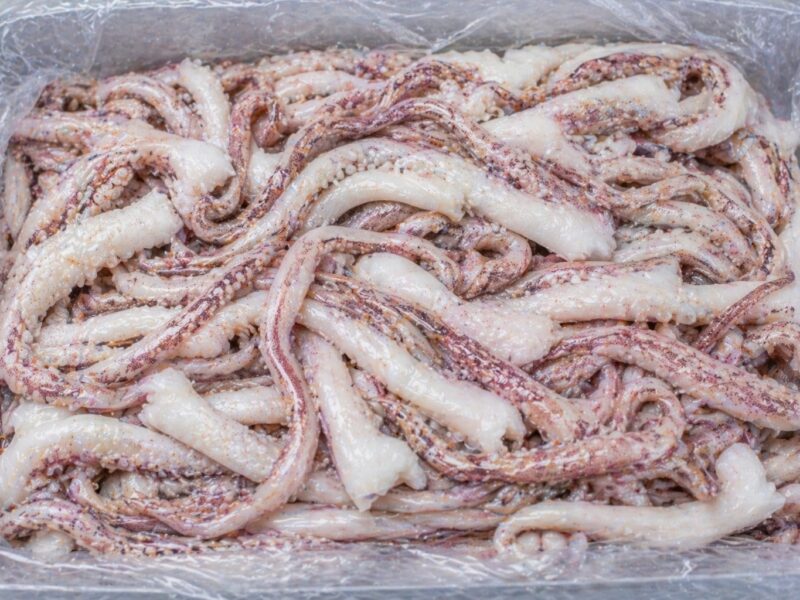 Tentáculos de potón congelados en bloque