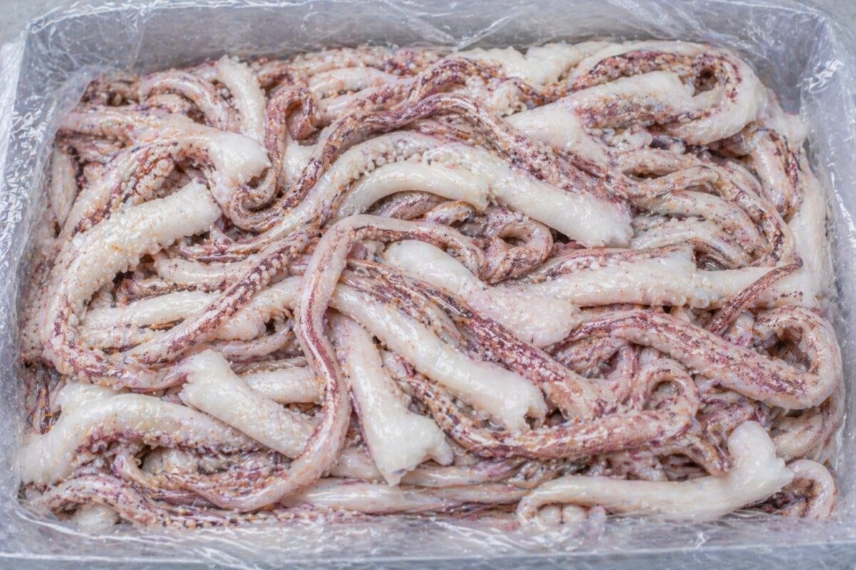 Tentáculos de calamar congelados en bloque